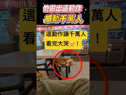 他做出這動作！感動千萬人🫣 #動作 #貓咪 #shorts 小林Lin’s life thumbnail