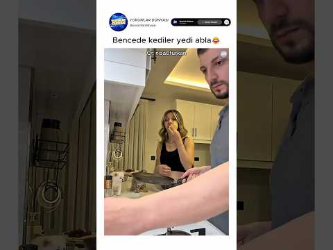 Ben kedinin yediğine inandım şahsen😂 thumbnail