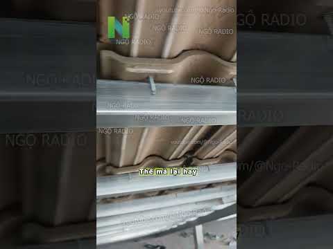 Thế mà lại hay thumbnail