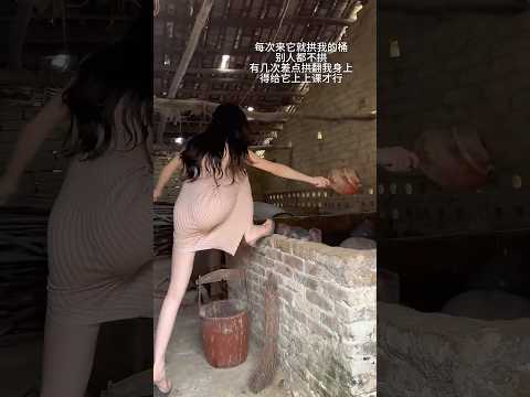 这猪是真的色 thumbnail