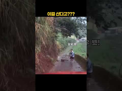 이걸 산다고??? thumbnail