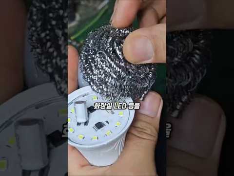 전구 속 철수세미 thumbnail