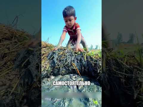 Мальчик нашел сотни рыб В БОЛОТЕ🐟🌾😱 thumbnail
