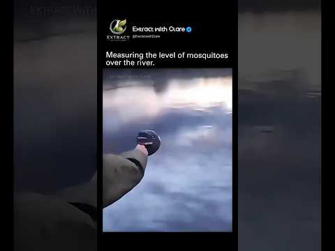They Measured Mosquitoes Over a River… The Result Is Nightmare Fuel! 🦟😱 thumbnail