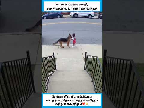 கால பைரவர் சக்தி, குழந்தையை பாதுகாக்க வந்தது #shorts thumbnail