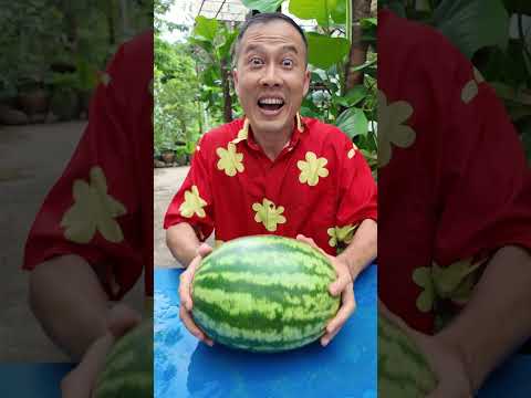 Cách Tôi Làm Chiếc Cốc Bằng Dưa Hấu #haongchu thumbnail