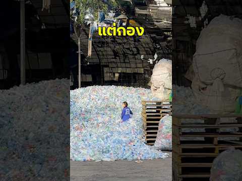 คนไทยดื่มน่ำอะไรมากสุด !! thumbnail