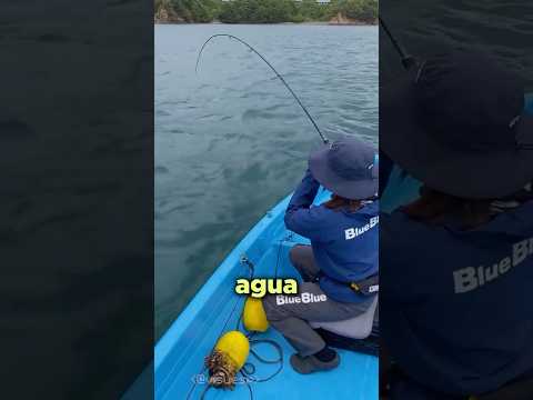 Por qué los pescadores le tienen miedo a esto? thumbnail