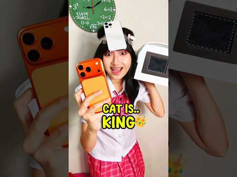 CAT IS KING!! 😼👑 #shorts #OliviaValent thumbnail