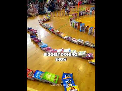 They Built A Domino Chain Using Cereal Boxes ? thumbnail