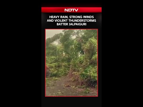 North Bengal Storm | Heavy Rain, Strong Winds And Violent Thunderstorms Batter Jalpaiguri thumbnail