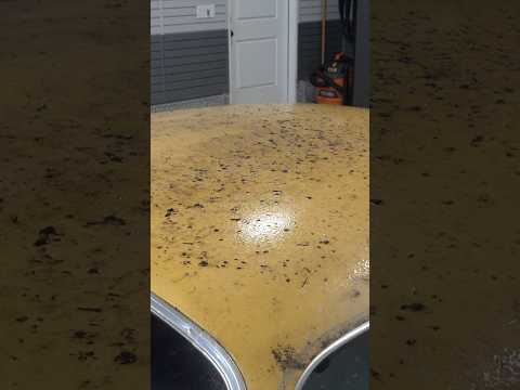 Filthy Car Roof Gets Pressure Washed! thumbnail