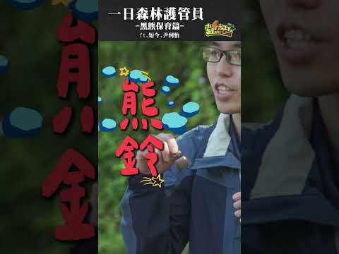 如果在深山跟黑熊「巧遇」，你第一反應會做什麼？ #木曜4超玩 #一日系列 #黑熊保育 #野外求生 #保命教學 #泱泱 #短今 #尹到怡 #shorts thumbnail