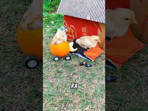 Xe này không có phanh thumbnail