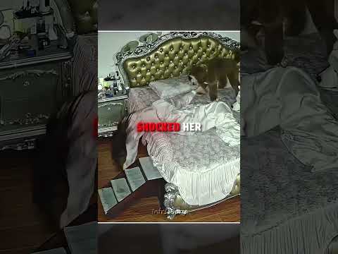 Something Was Moving Under Her Bed… ?? #shorts thumbnail