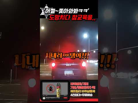 '어쩔~쫓아와 봐!!' 사고를 낼 뻔하고 도주하던 빌런 참교육 thumbnail