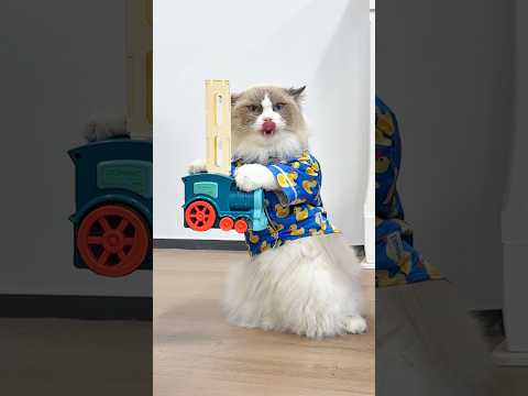 Puff saved the day! #thatlittlepuff #puffmademebuy thumbnail