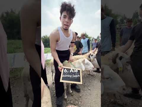 My kambing my family 🤣🐐🐑 thumbnail