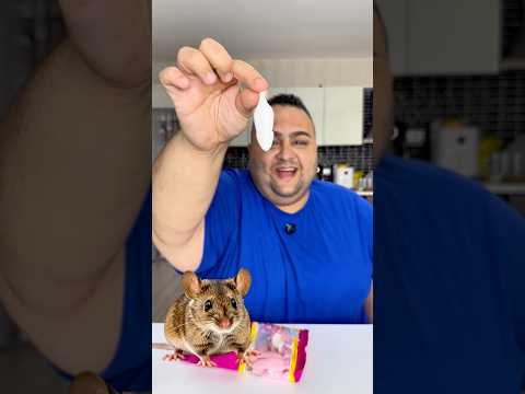 SOYULABİLEN, MAKARNA ŞEKLİNDE VB İLGİNÇ YUMUŞAK ŞEKERLER! Reklam #shorts thumbnail