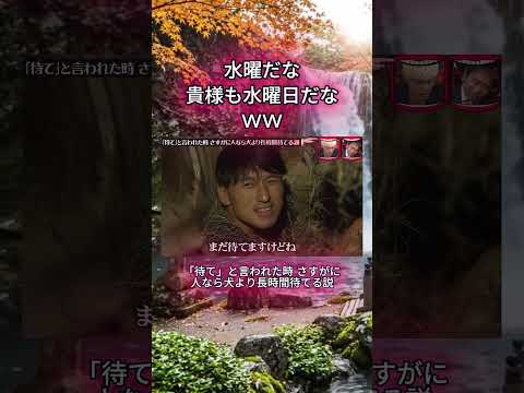 水曜だな貴様も水曜日だな!#水曜日のダウンタウン#検証動画#春日俊彰#検証#説検証#浜田雅功#松本人志 #shorts #funny #お笑い#面白集#面白い#お笑い芸人 thumbnail