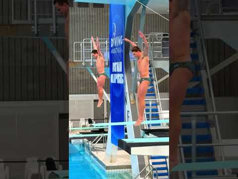 Diving thumbnail