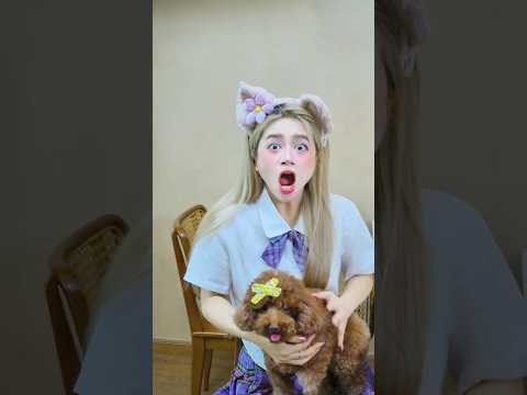 Even as a Poodle… He Couldn’t Win ?? #lilymeow #lilymiumiu #couplegoals #schoolcrush #schooldrama thumbnail