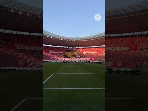 This FC Bayern tifo ahead of the Cup Final 🤩🏆 thumbnail