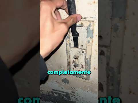 ¿Es este un mutante real en una instalación nuclear? 😨❄️ thumbnail