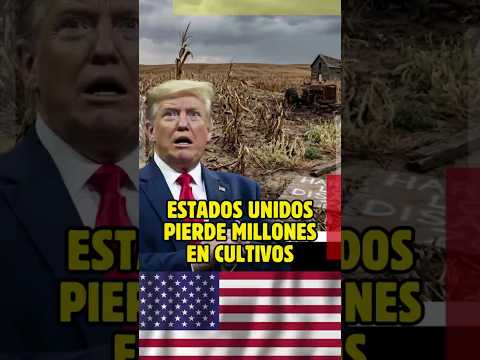Estados Unidos Pierde Millones en Cultivos thumbnail