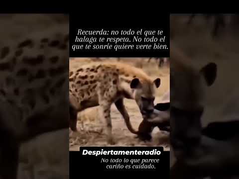 NO todo el que te SONRIE es tu AMIGO 🐍 #shorts thumbnail
