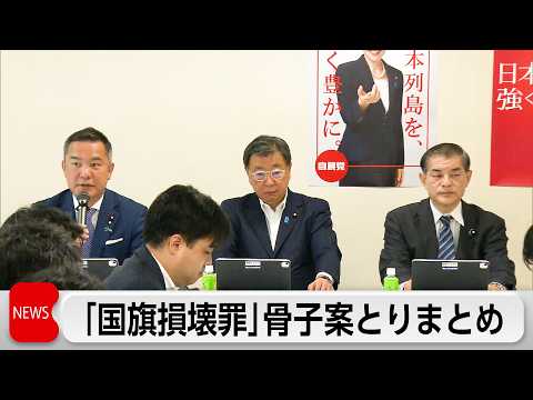 自民党の検討チームが「国旗損壊罪」骨子案を取りまとめ　アニメ・漫画などは「対象外」 thumbnail