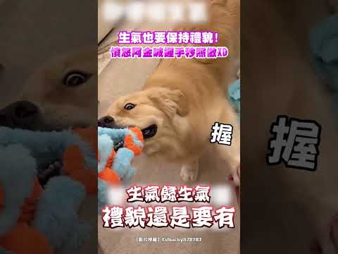 生氣也要保持禮貌！憤怒阿金喊握手秒照做XD #shorts @ChinaTimes thumbnail