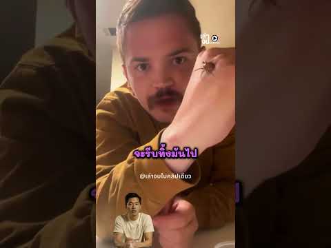เขาเลี้ยงปรสิต เพราะคิดว่ามันมีโปรตีน thumbnail