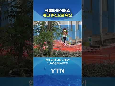 현재 '사망자 246명' 추정 #shorts / YTN thumbnail