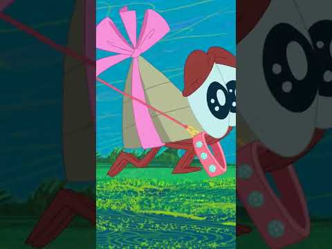 Zig has lost Bernie! | Xilam TV | Cartoon #shorts thumbnail