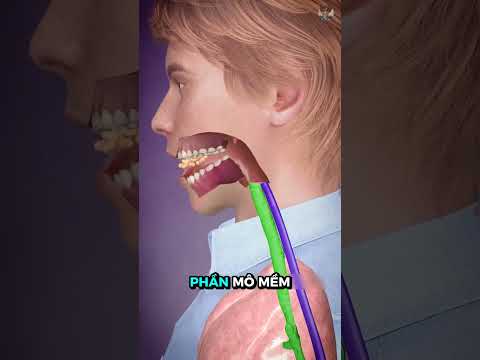 Cảnh báo Nguy hiểm chết người khi ăn vội  #kienthuc #giaitri thumbnail