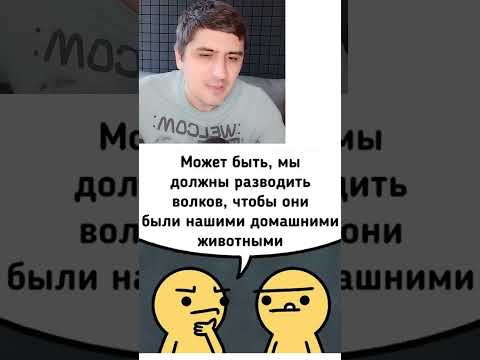 Мем про волков thumbnail
