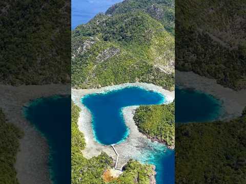 Raja Ampat, Indonesia, Incredible Destinations #travel #short thumbnail