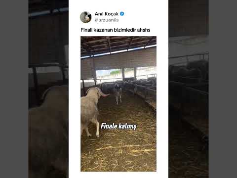 En iyi yorumu sabitliyorum ? thumbnail