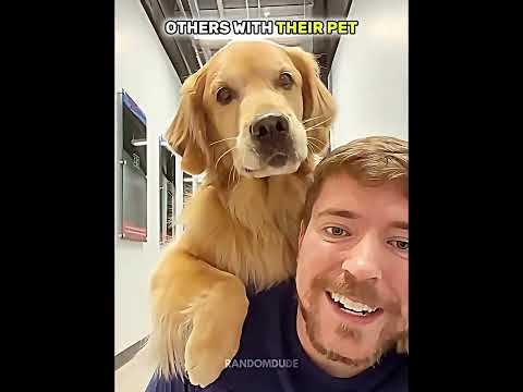 Normal pet VS King of pets thumbnail