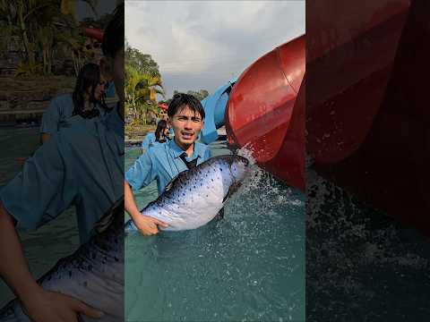 ikan ade kk pengen minum🤣🤣 #trandingshorts thumbnail