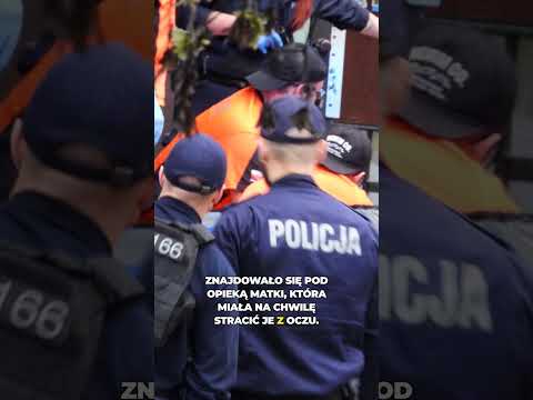 CHŁOPIEC WYPADŁ Z BALKONU NA 20 PIĘTRZE thumbnail