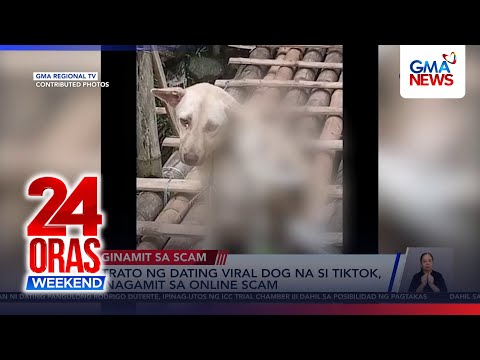 Litrato ng dating viral dog na si Tiktok, ginagamit sa online scam | 24 Oras Weekend thumbnail