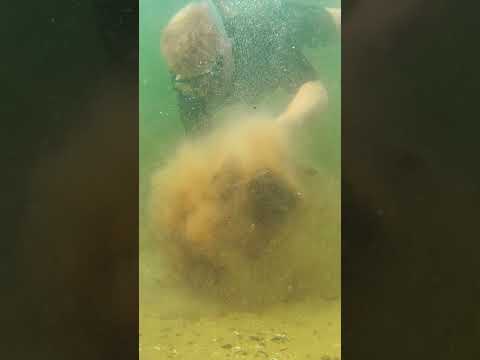 Baiting the Underfishing style thumbnail
