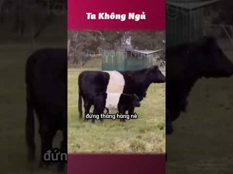 Trùng hợp đến bất ngờ 😵‍💫 #takhongngu thumbnail