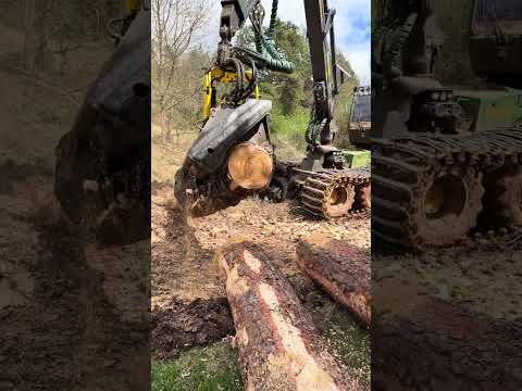 🔥 John Deere 1270G vs Giant Tree Pure Power in Action #johndeere #forest #harvester #logging #tree thumbnail