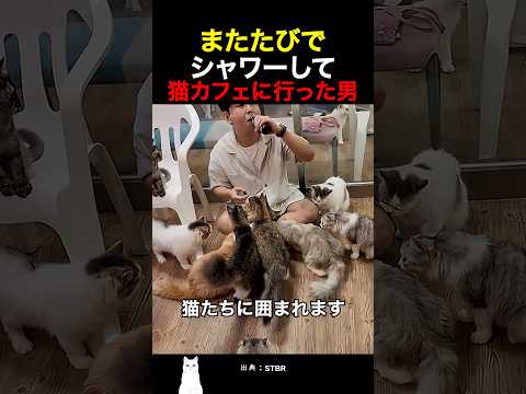 またたびでシャワーして猫カフェに行った男 thumbnail