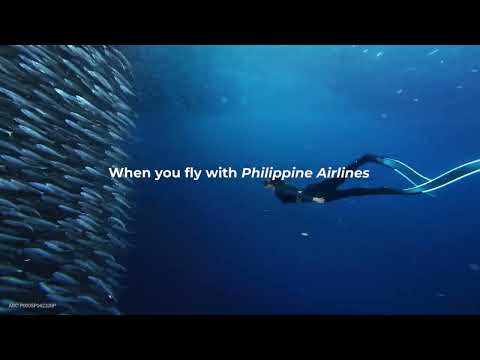 Discover real moments like this in Moalboal, Cebu when you arrive on-time with PAL thumbnail