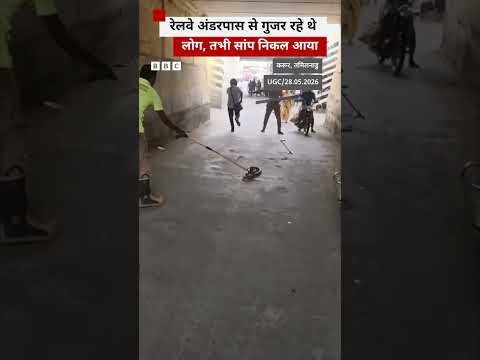 Tamil Nadu: रेलवे अंडरपास के पास निकला सांप #tamilnadu #snake thumbnail