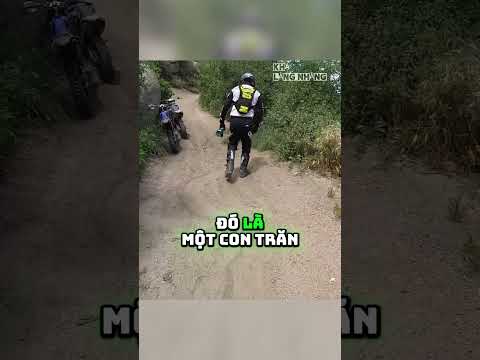 Biker Theo Dấu Trăn Khổng Lồ 🐍 @JoeyMac420 thumbnail